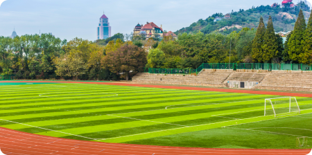 Field